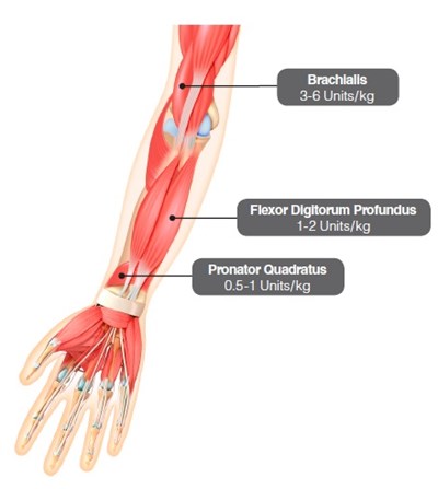 Figure 4 2